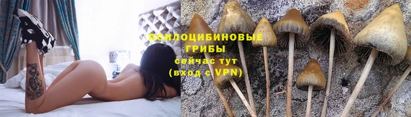 прущая мука Волосово